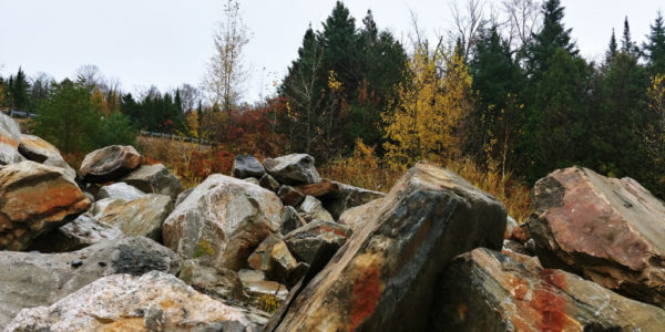20201019_103413_HDR